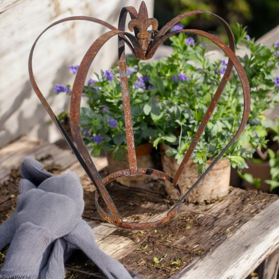 Steel Crown Plant Cage from Fig and Rose.