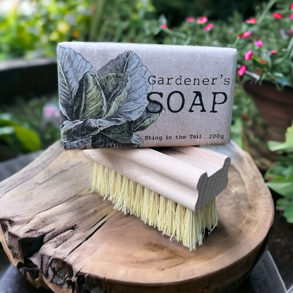 Gardener's Soap and Nail Brush from Fig and Rose