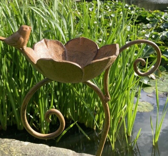 A cast iron bird bath from Fig and Rose Home.