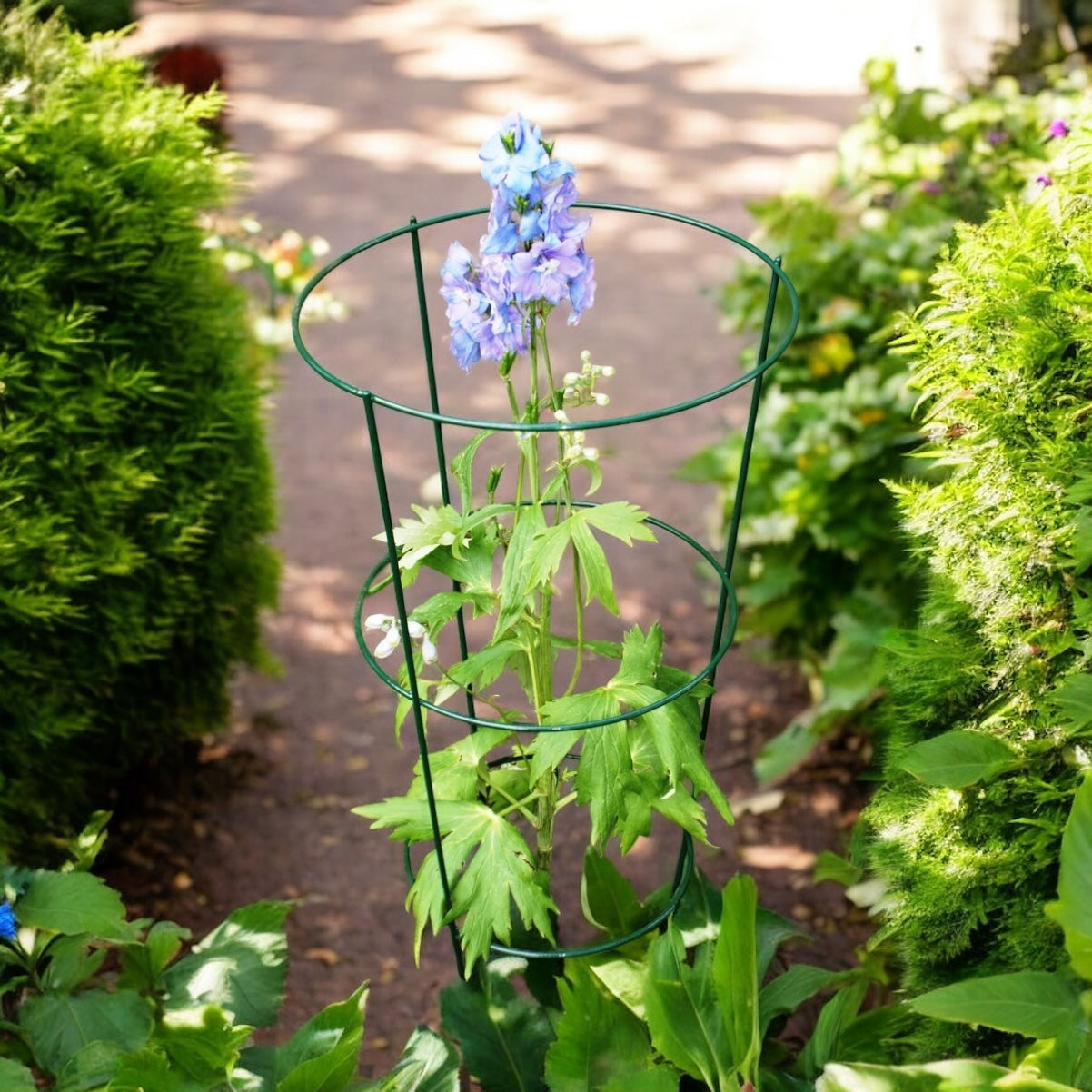 Conical Plant Supports from Fig and Rose.