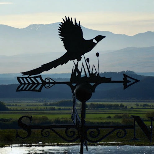 Pheasant Weathervane from Fig and Rose