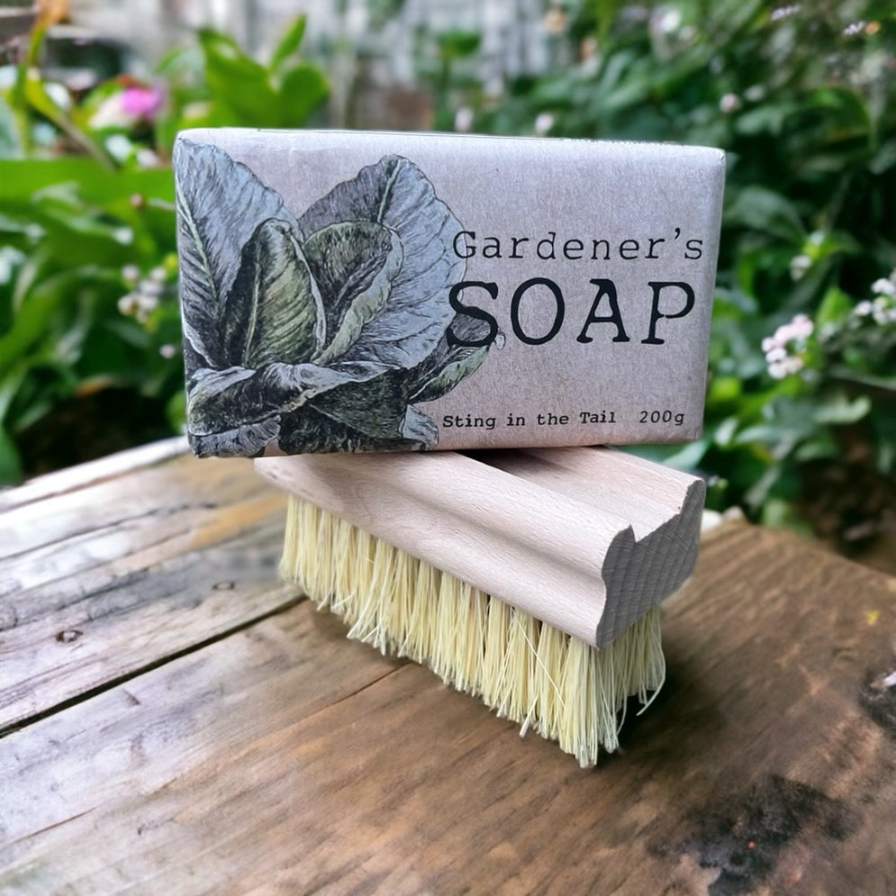 Gardener's Soap and Nail Brush from Fig and Rose