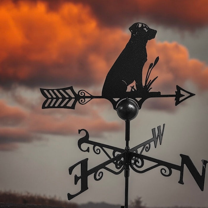 Labrador Weathervane from Fig and Rose