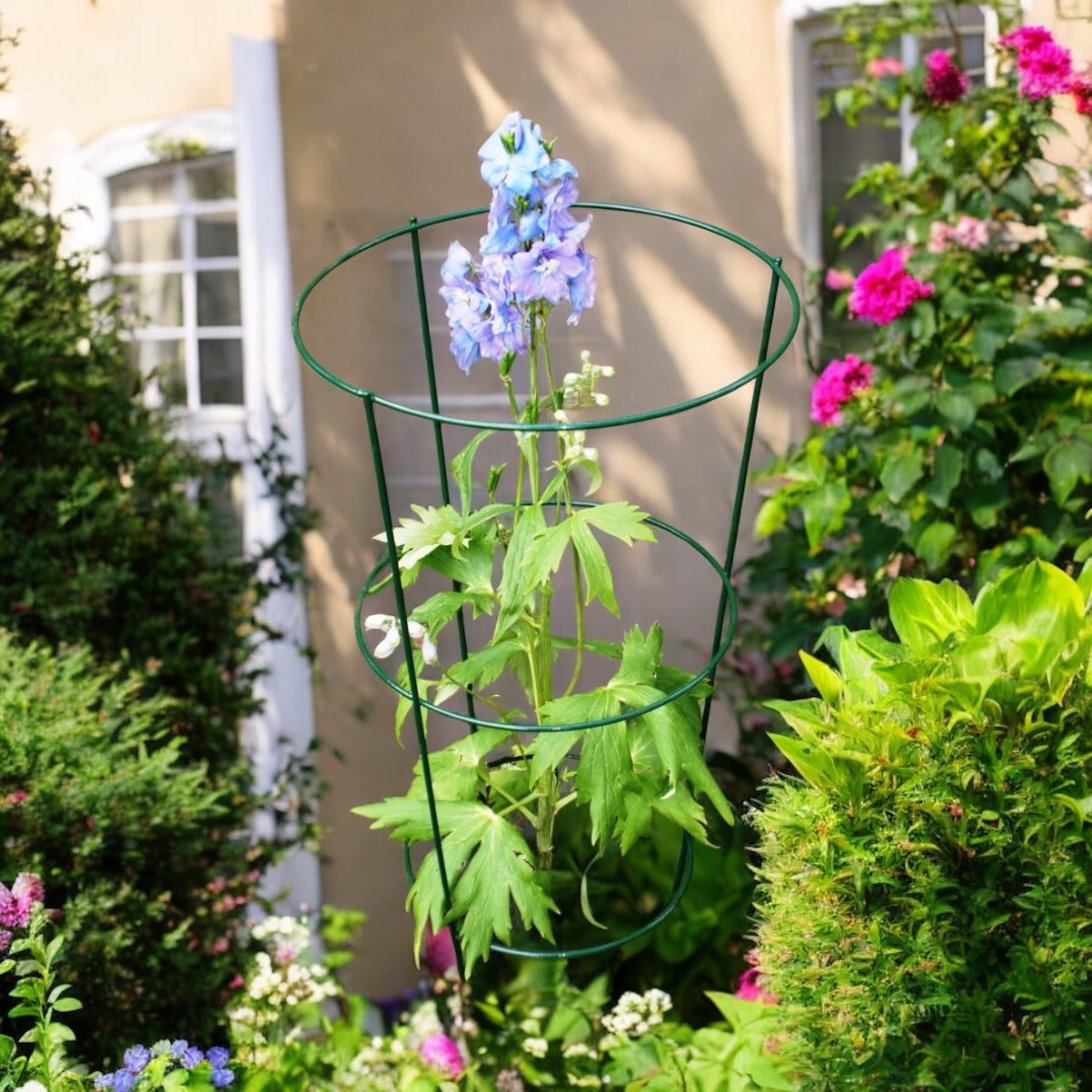 Conical Plant Supports from Fig and Rose.
