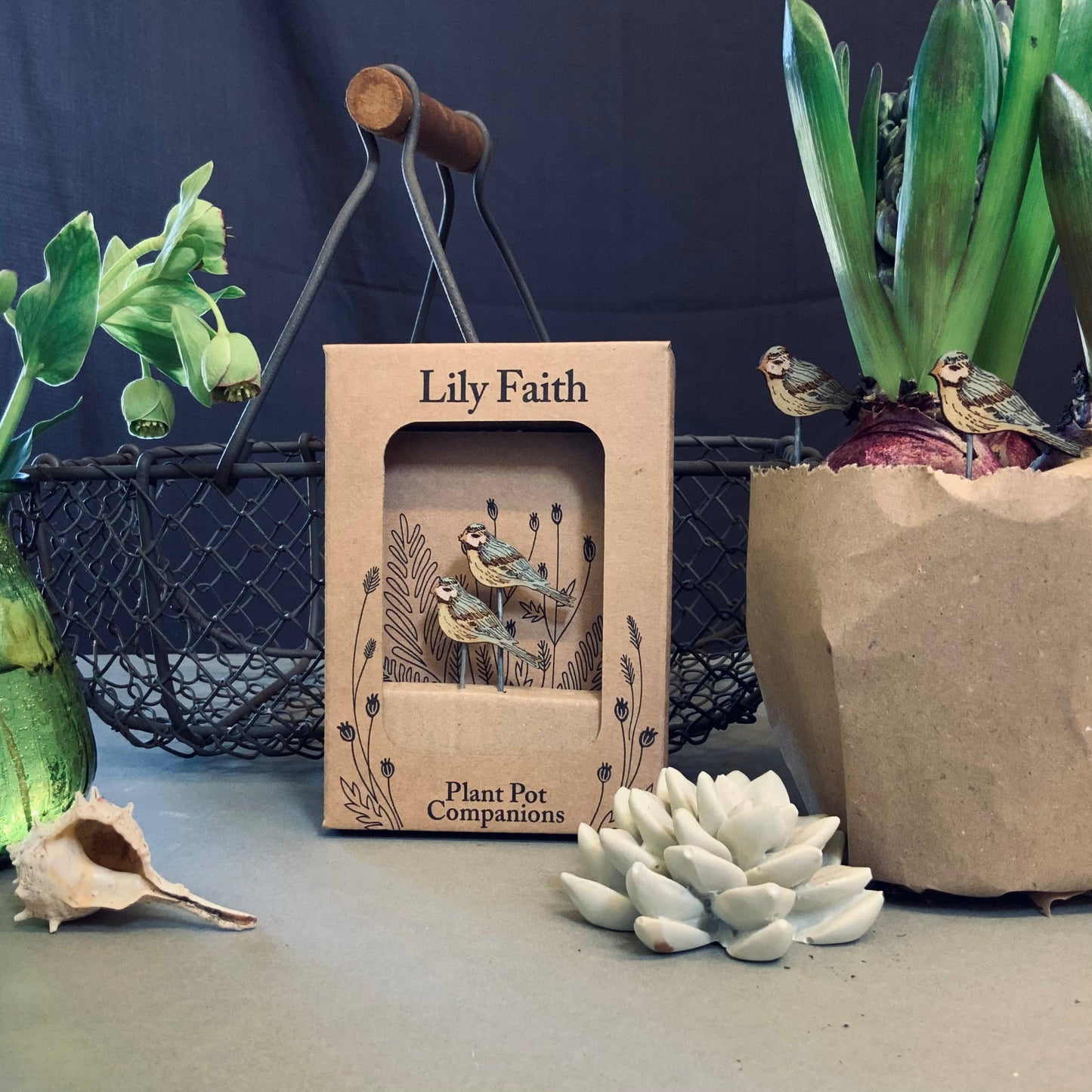 A Blue Tit Plant Pot Companions available to buy from Fig and Rose Home.