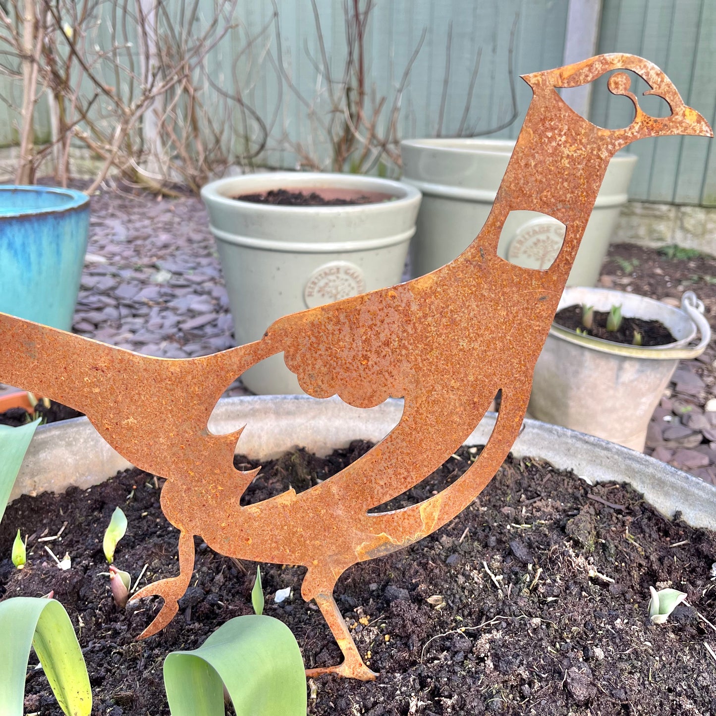 Metal Pheasant Garden Art from Fig and Rose