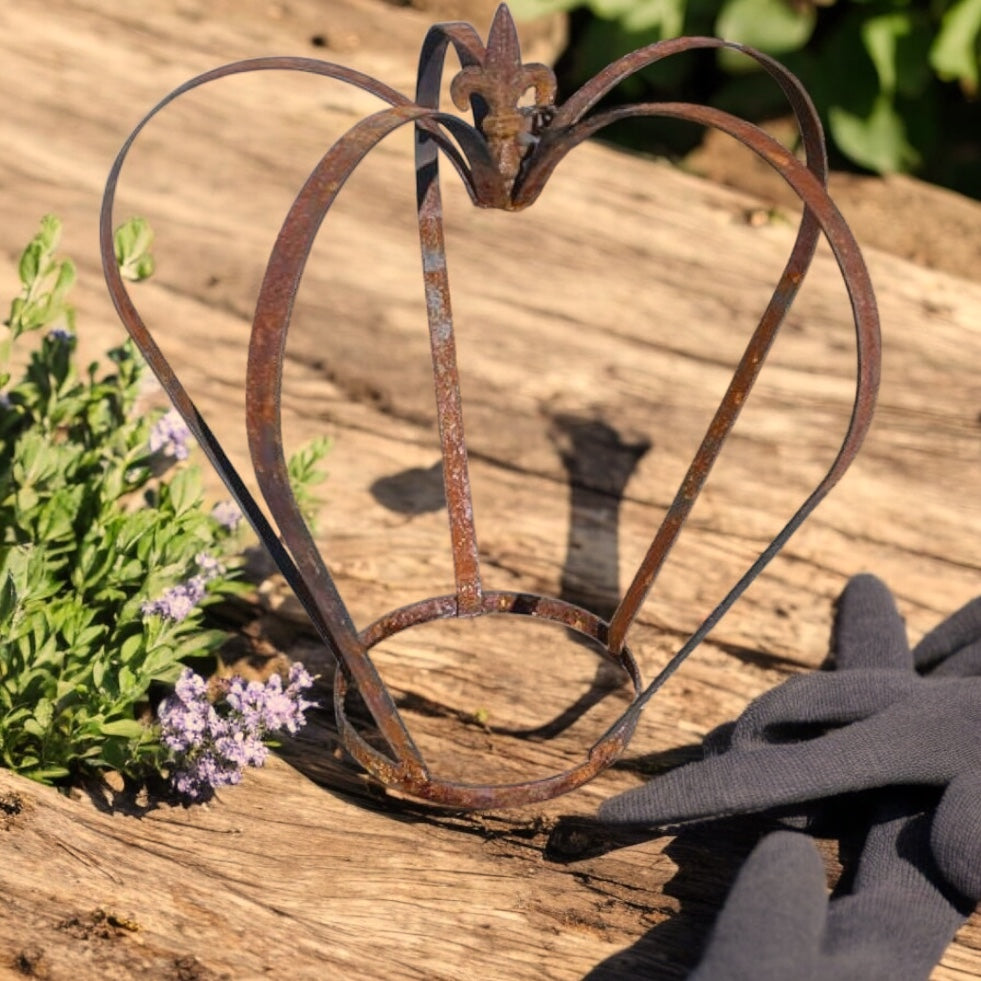 Steel Crown Plant Cage from Fig and Rose.