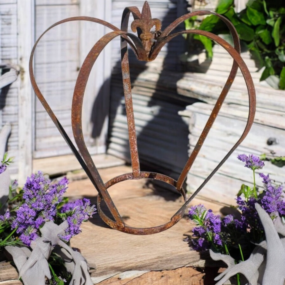 Steel Crown Plant Cage from Fig and Rose.