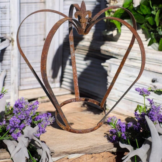 Steel Crown Plant Cage from Fig and Rose.