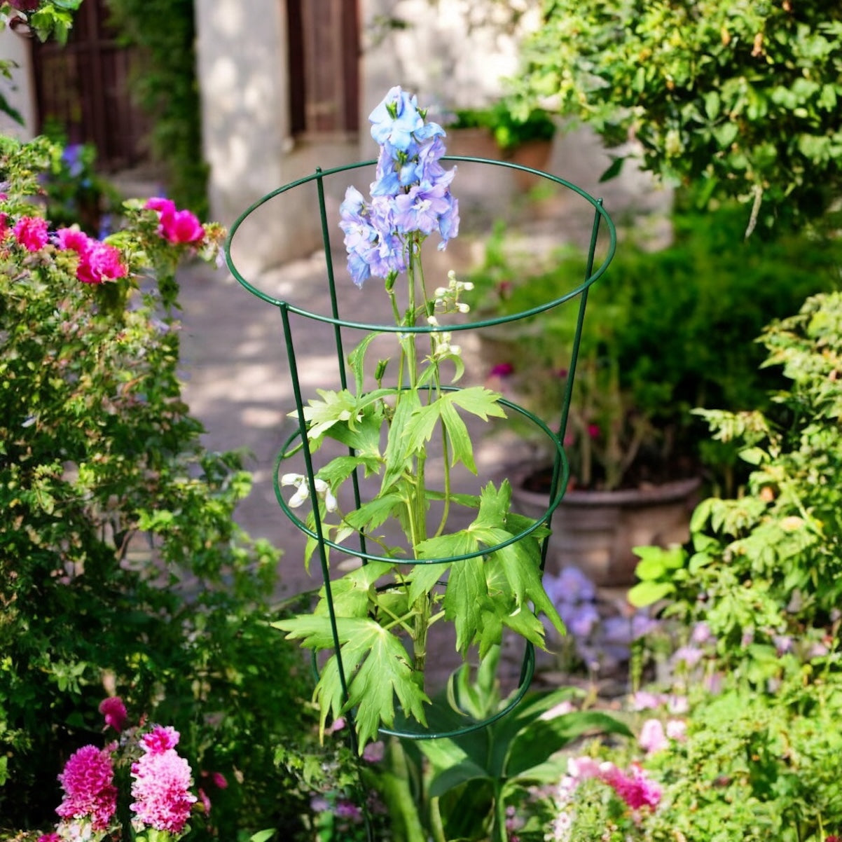 Conical Plant Supports from Fig and Rose.