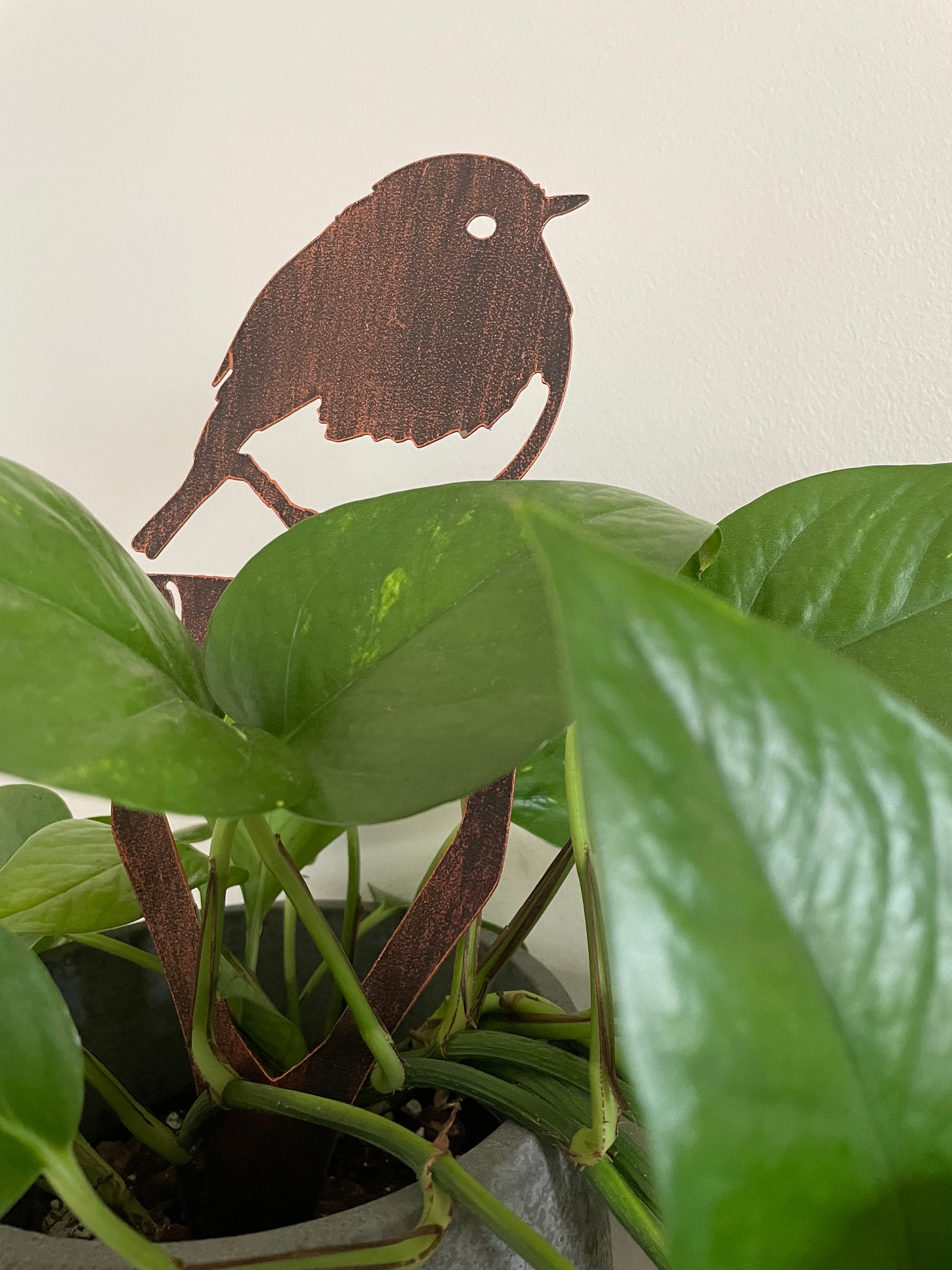 Robin on a Spade Stake from Fig and Rose