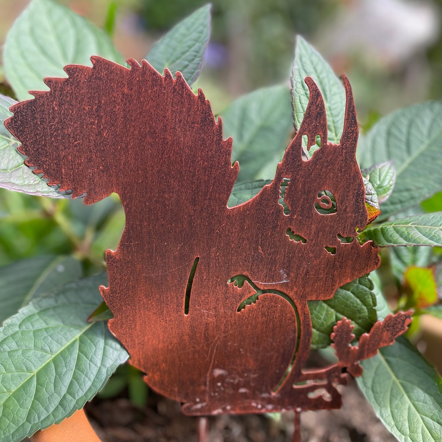 Squirrel Garden Ornament from Fig and Rose