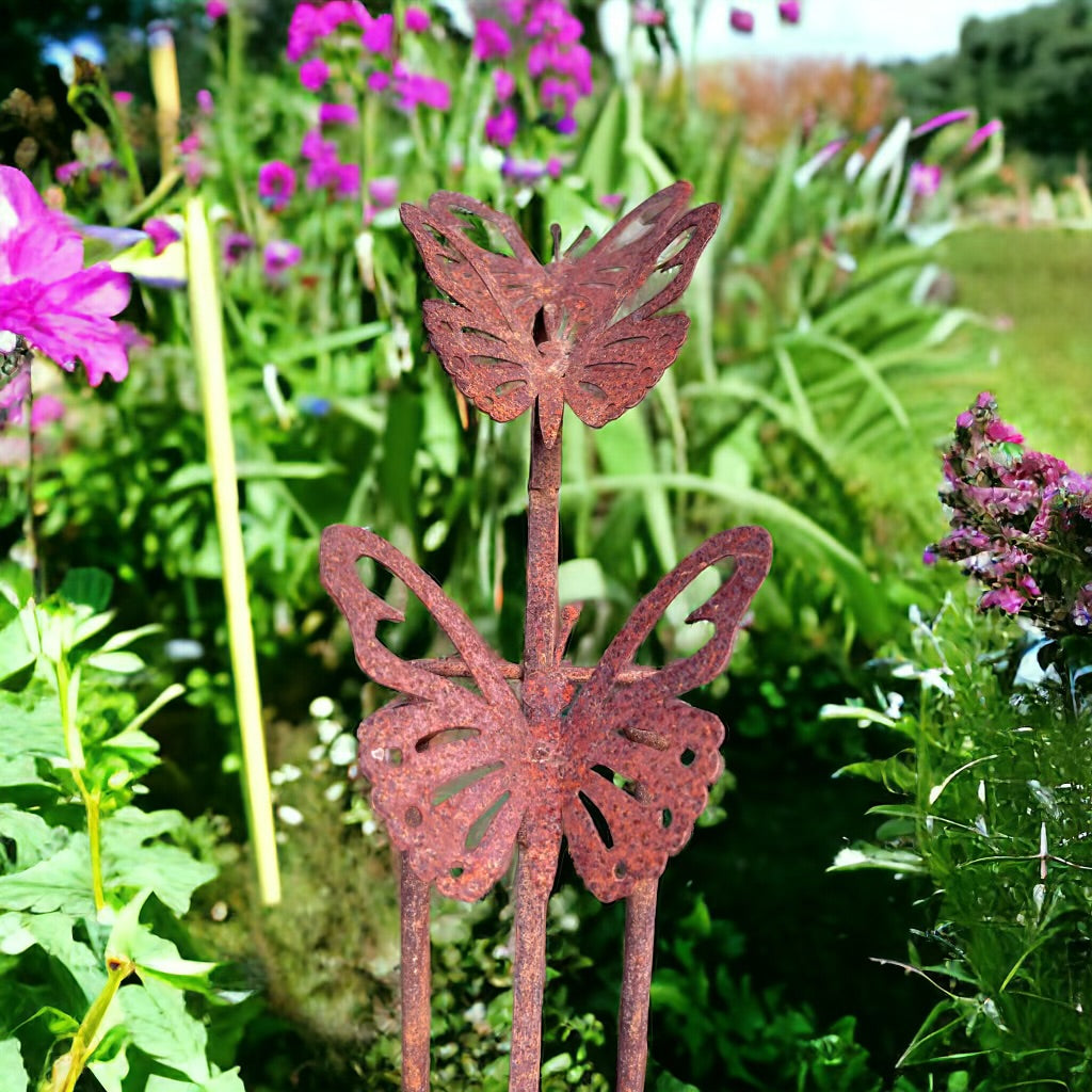 Balancing Butterflies from Fig and Rose