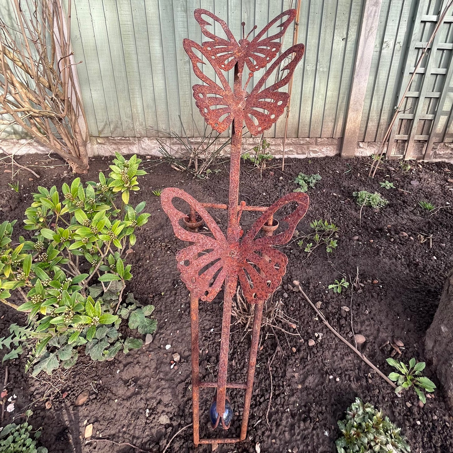 Balancing Butterflies from Fig and Rose