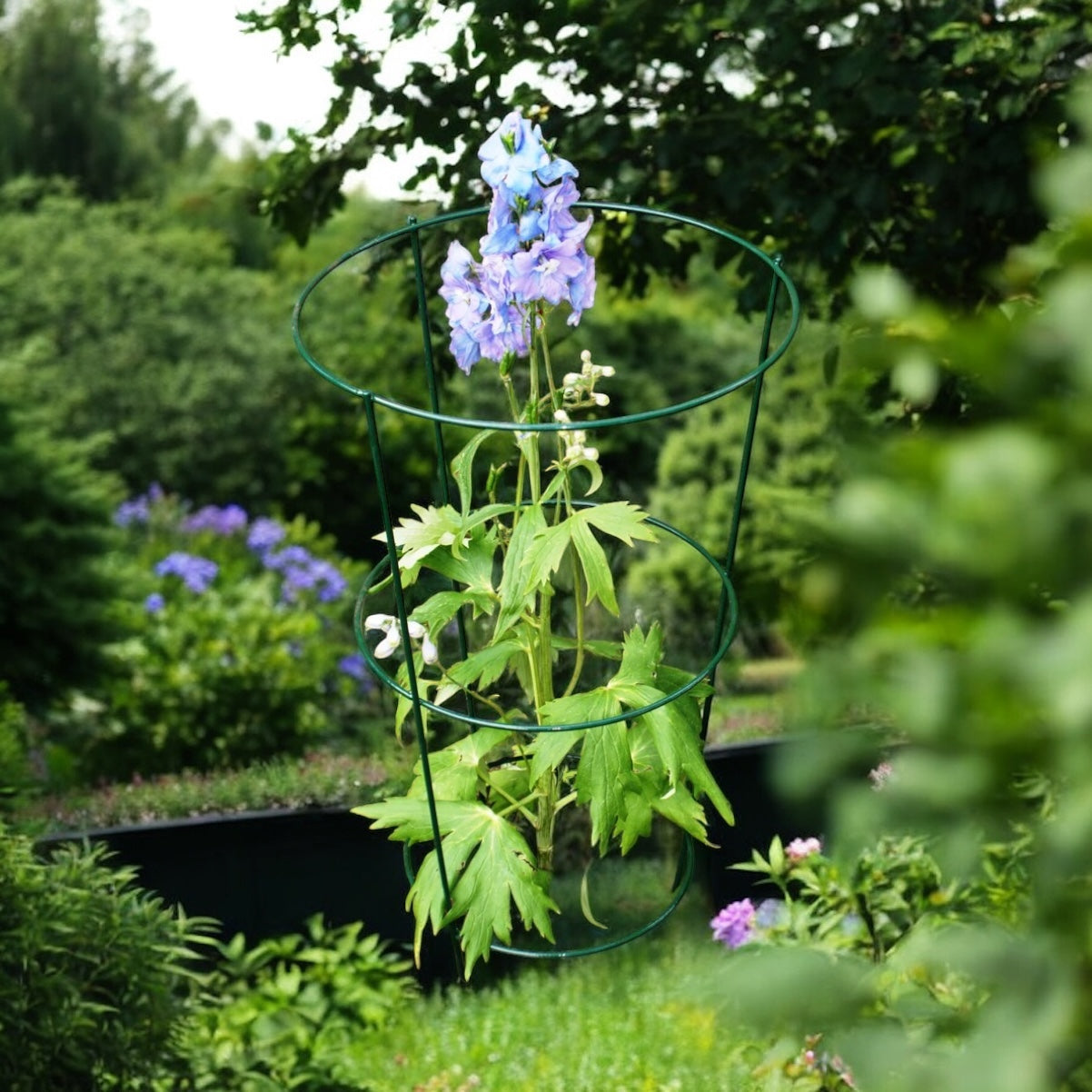 Conical Plant Supports from Fig and Rose.
