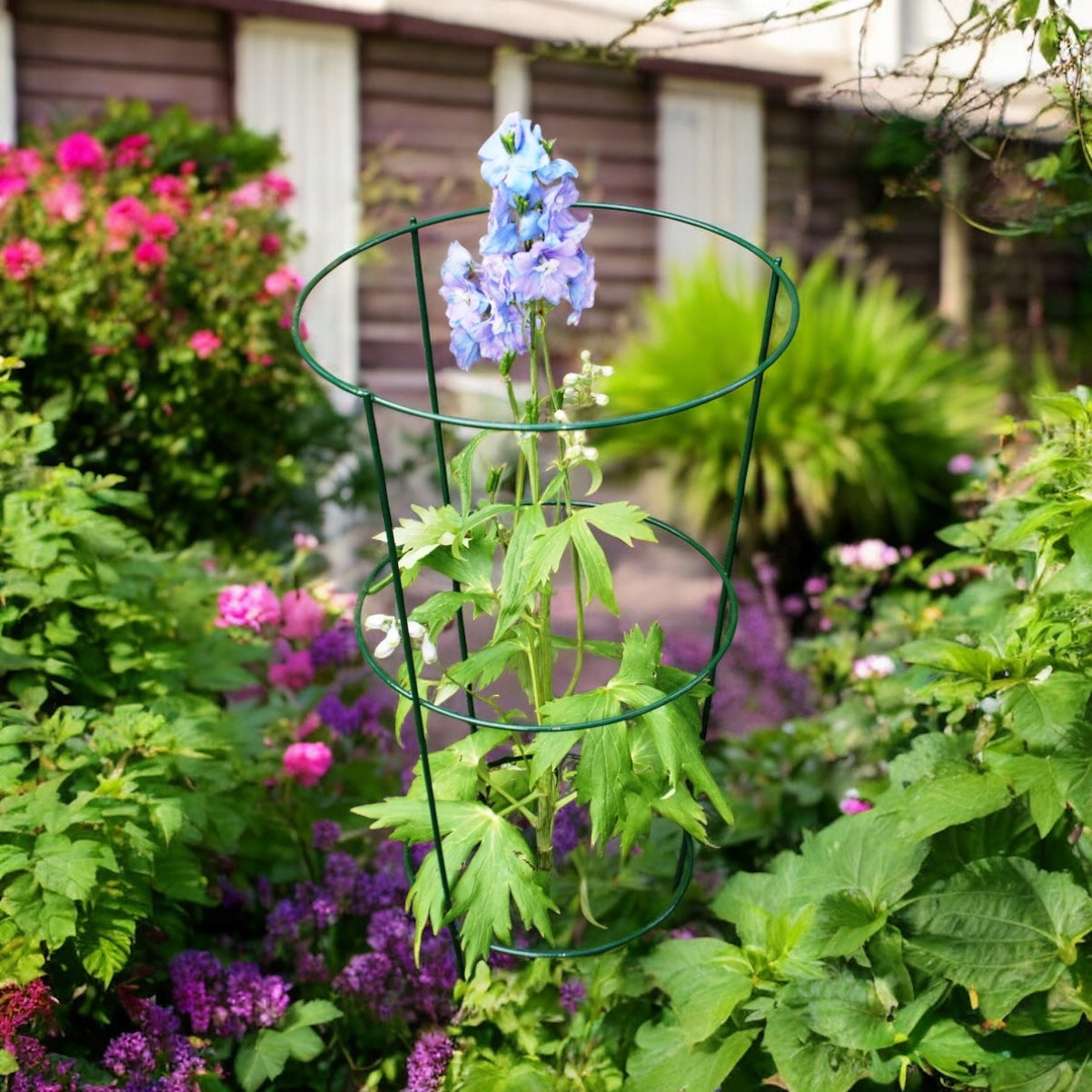 Conical Plant Supports from Fig and Rose.