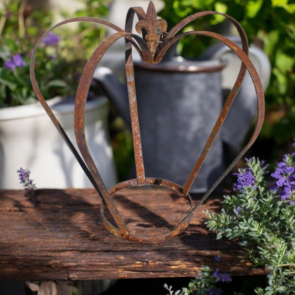 Steel Crown Plant Cage from Fig and Rose.