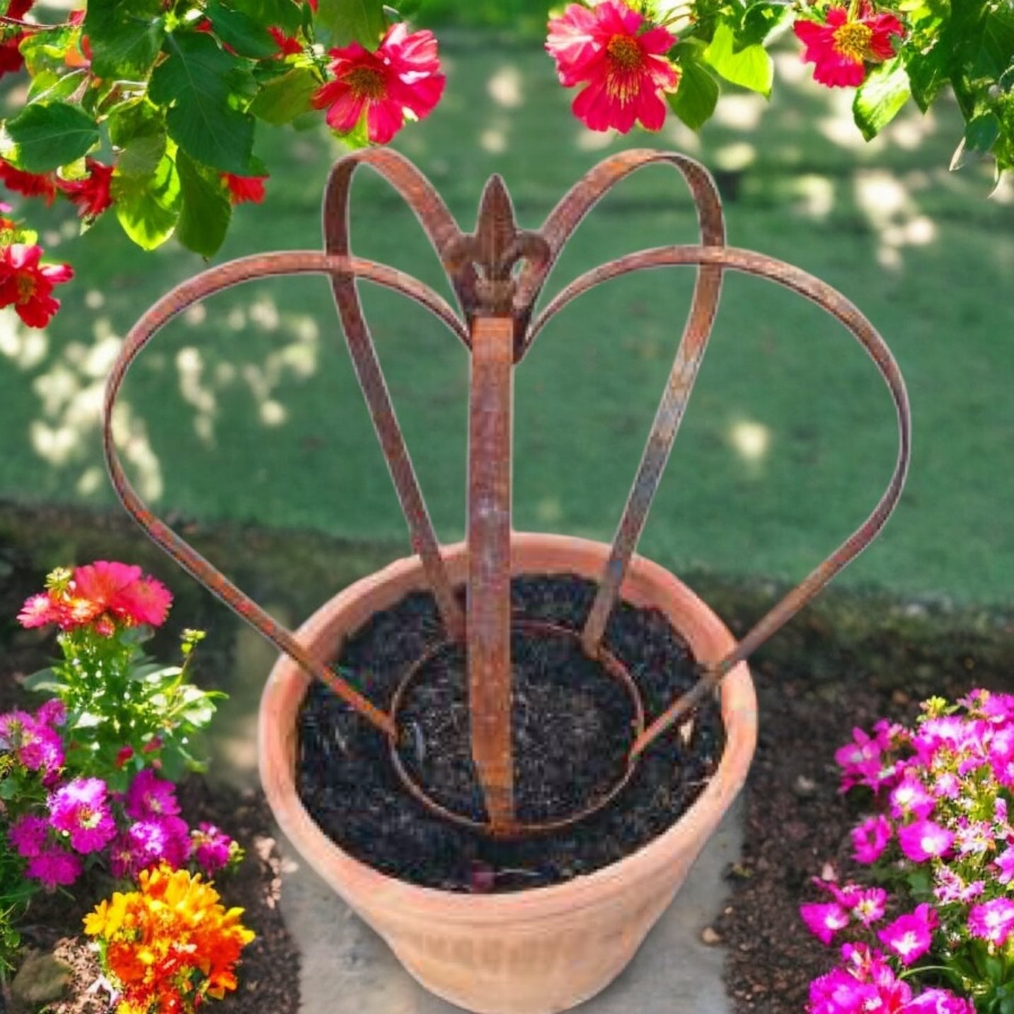 Steel Crown Plant Cage from Fig and Rose.