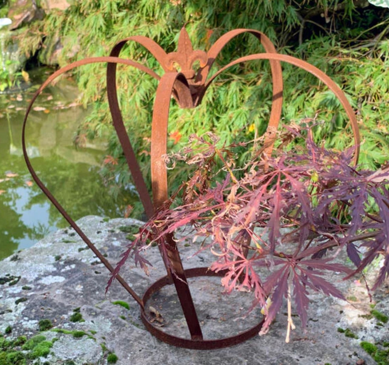 Steel Crown Plant Cage from Fig and Rose.
