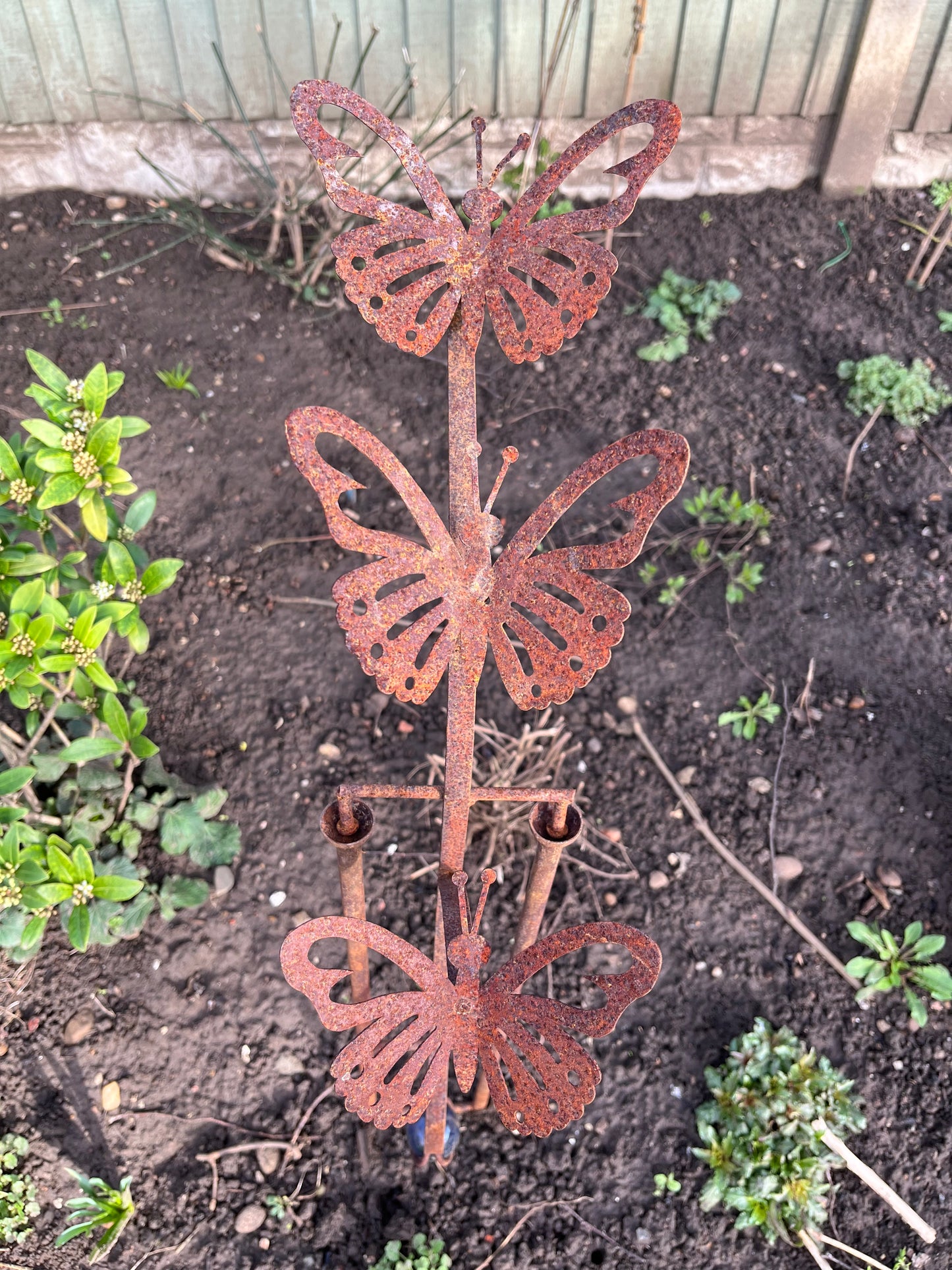 Balancing Butterflies from Fig and Rose