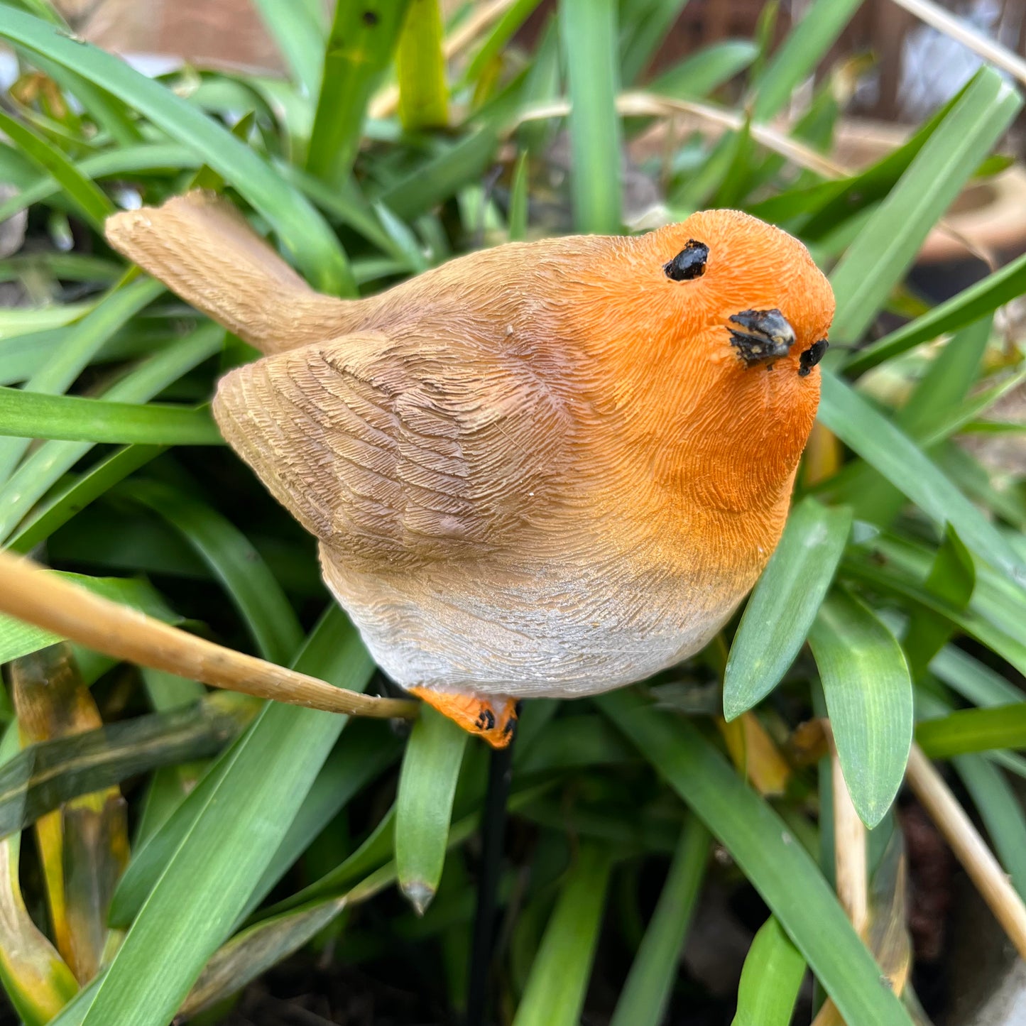 Robin Pot Stake from Fig and Rose