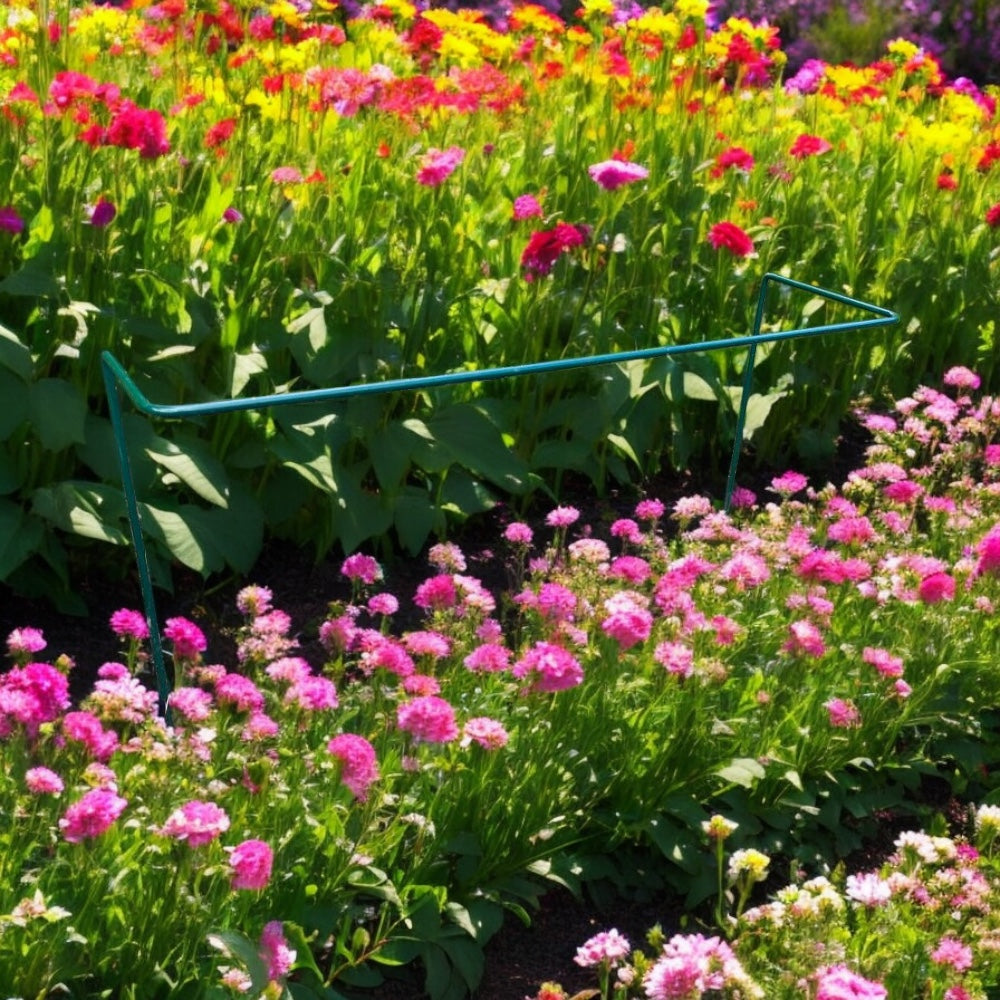 Supports for Plants from Fig and Rose.