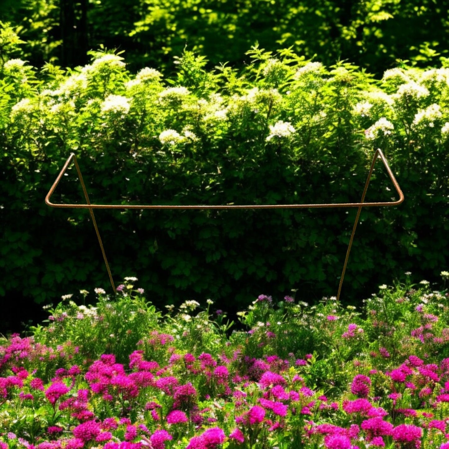 Supports for Plants from Fig and Rose.