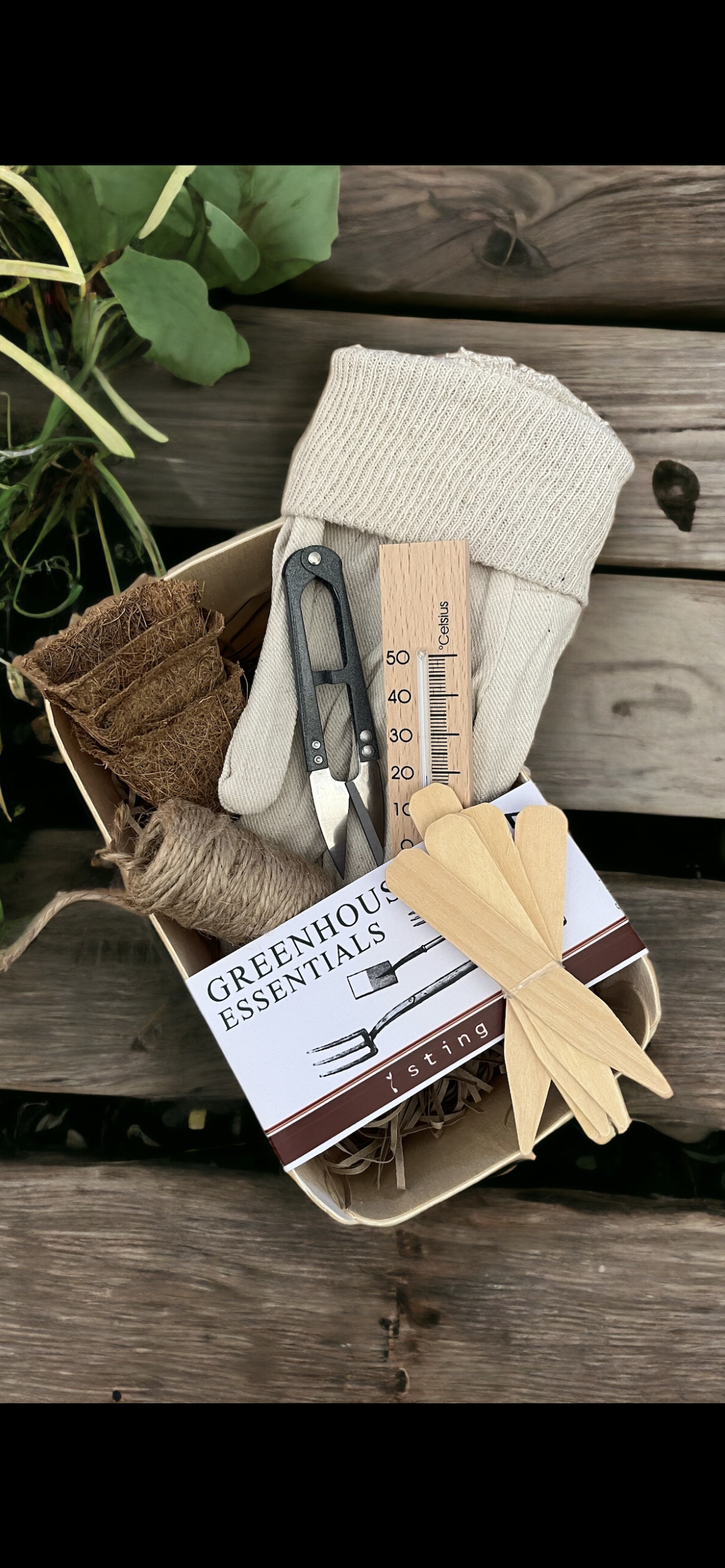 Greenhouse Essentials Gift Set from Fig and Rose