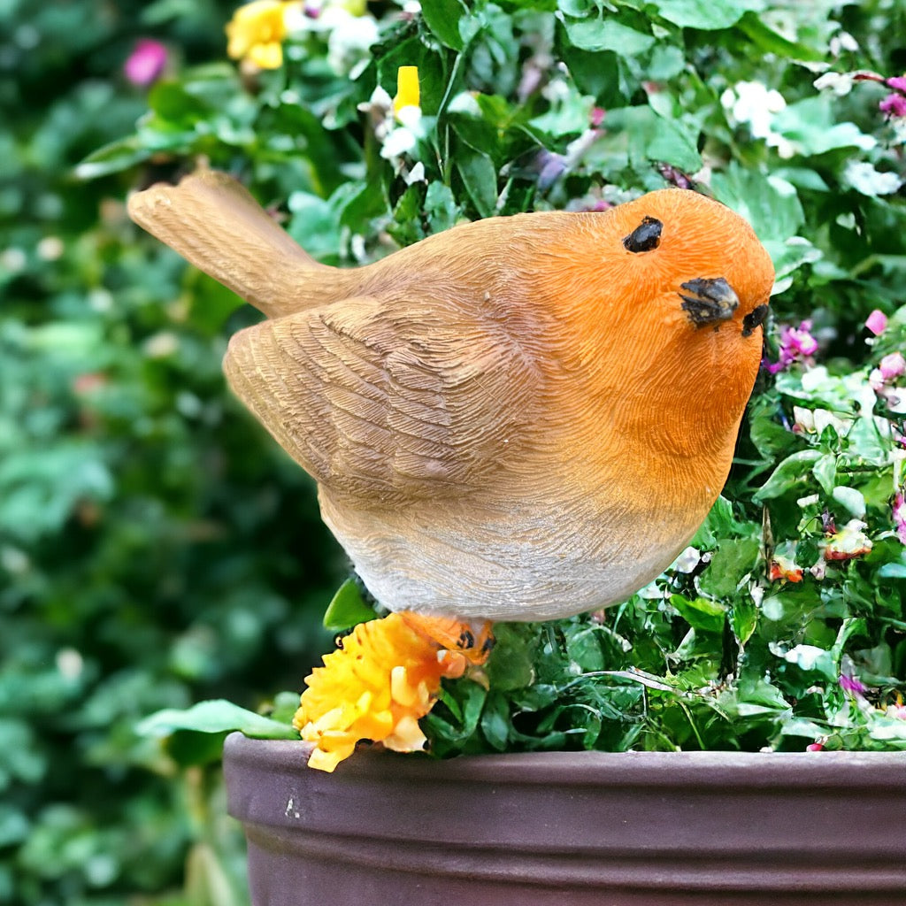 Robin Pot Stake from Fig and Rose