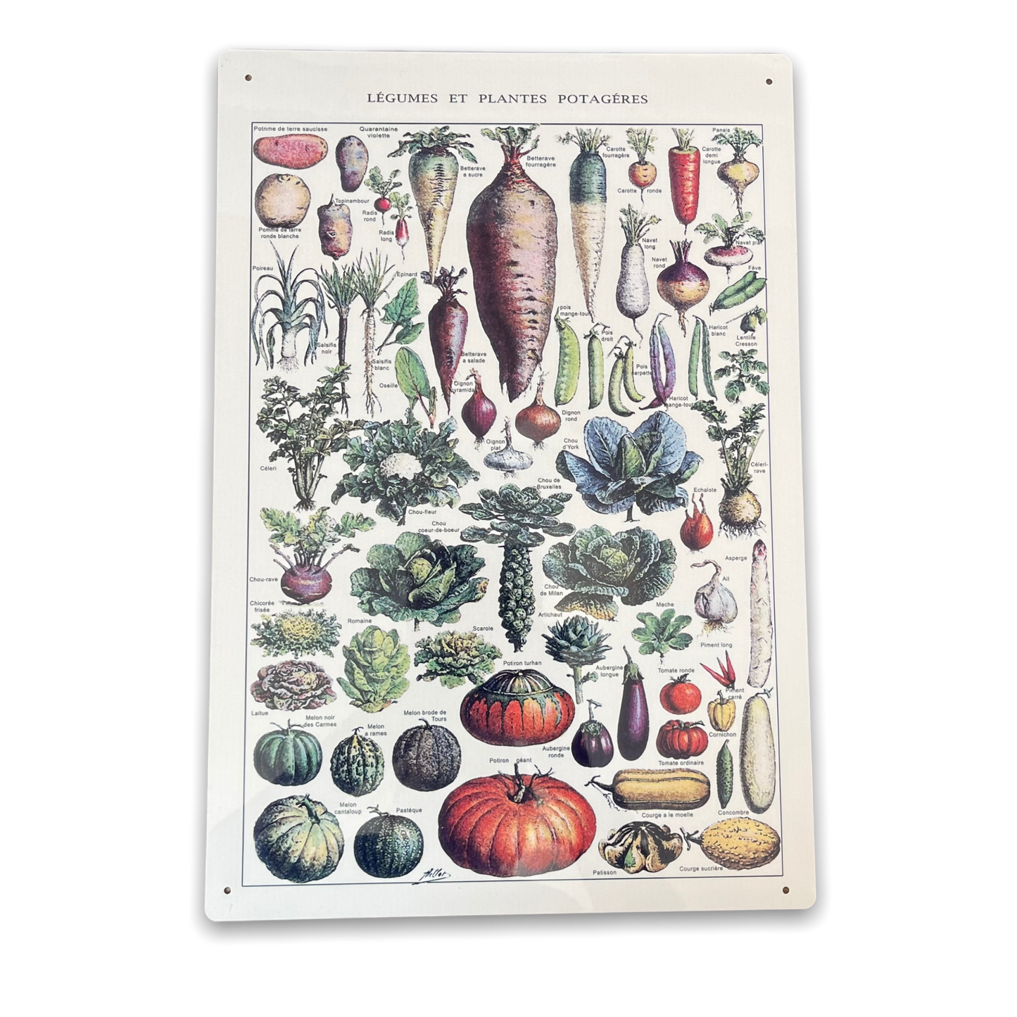 A Vintage Kitchen Vegetables Metal Sign available to buy from Fig and Rose Home.