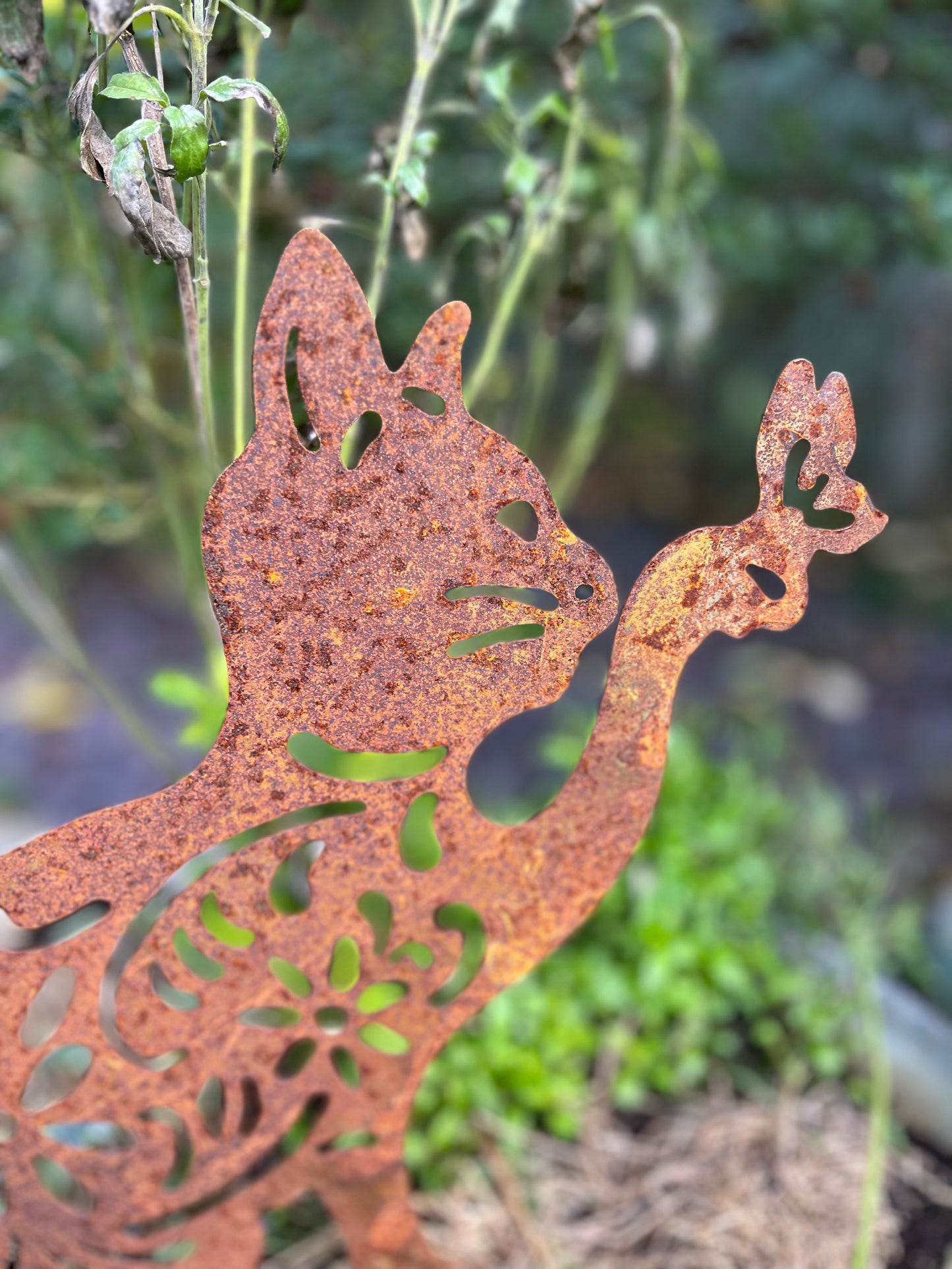 Garden Decor Cat with Butterfly from Fig and Rose