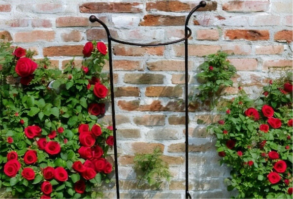 plant supports for climbers and rose bushes from Fig and Rose