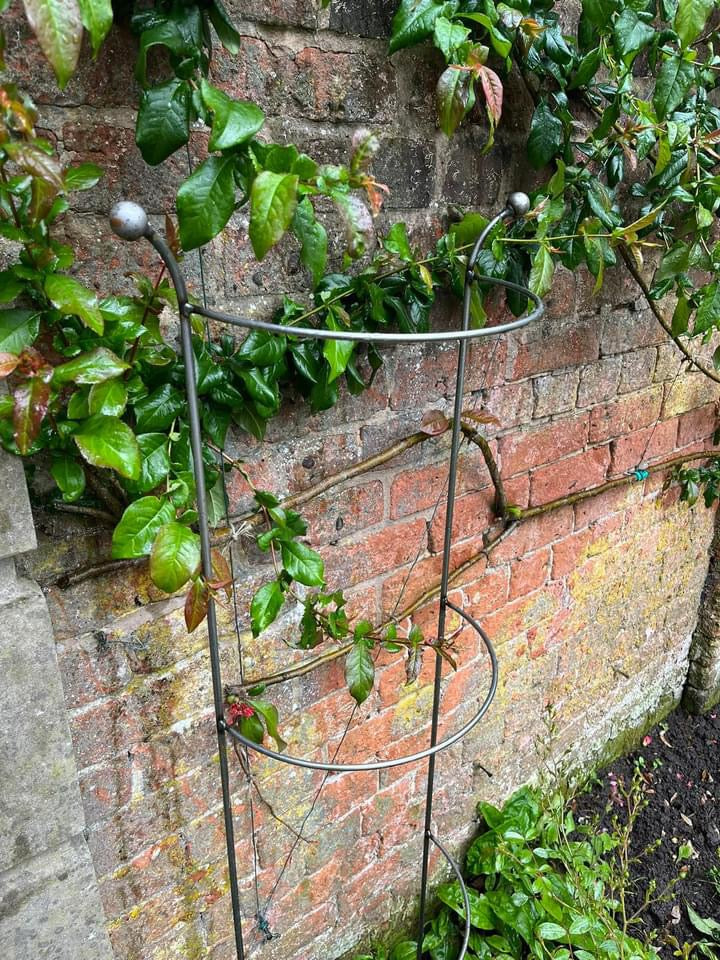 plant supports for climbers from Fig and Rose
