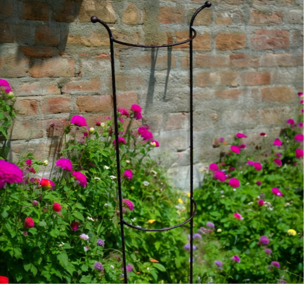plant supports for climbers from Fig and Rose