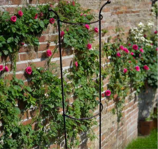 plant supports for climbers from Fig and Rose