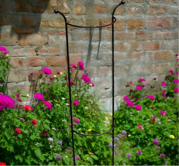 plant supports for climbers from Fig and Rose