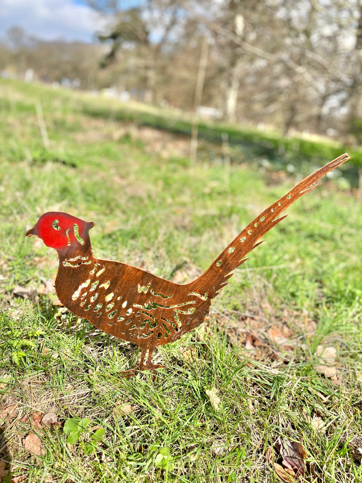 A Pheasant Garden Stake from Fig and Rose.