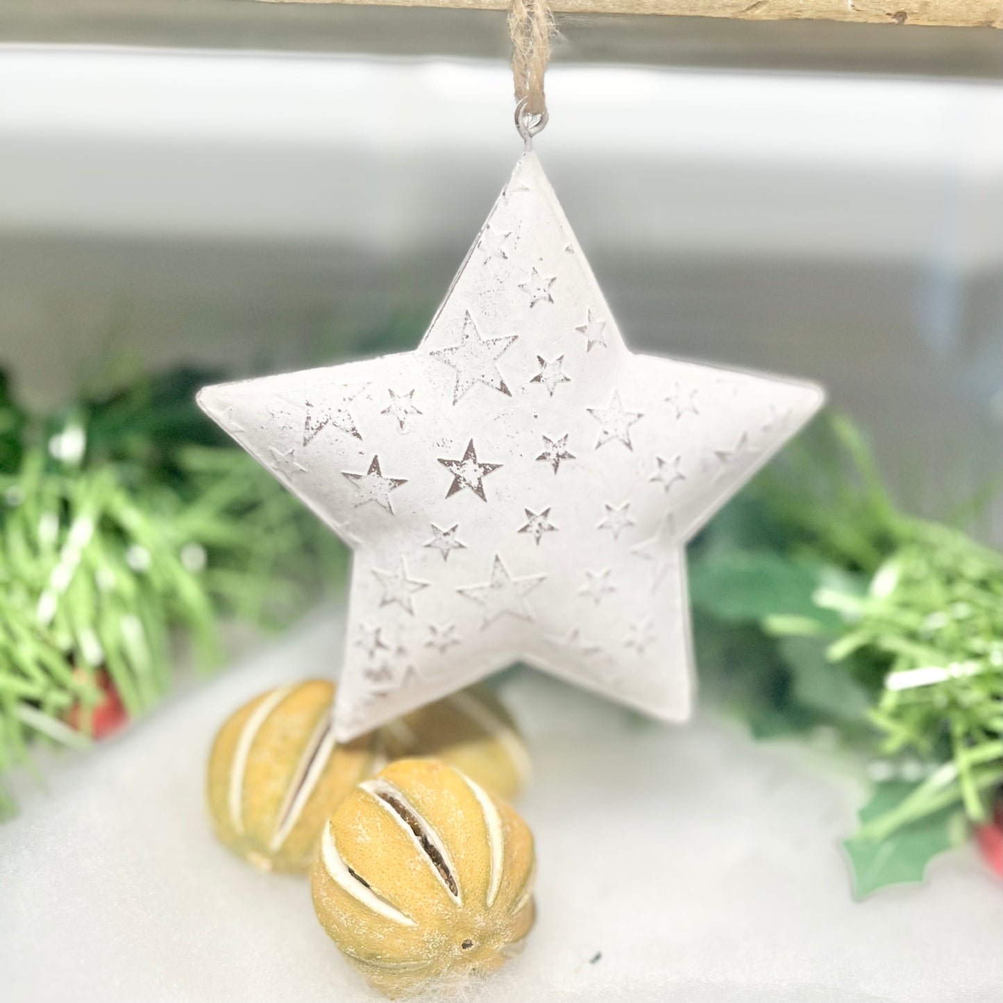 Hanging White Metal Star Decorationfrom Fig and Rose