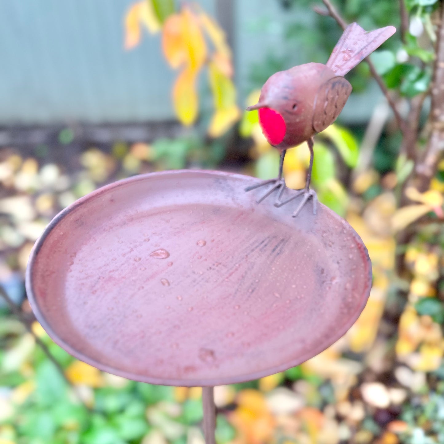 A robin bird bath from Fig and Rose.