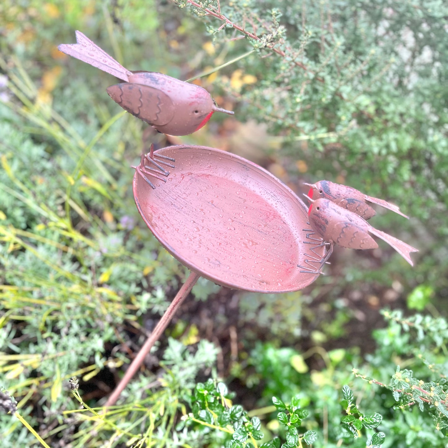 A robin bird bath from Fig and Rose.