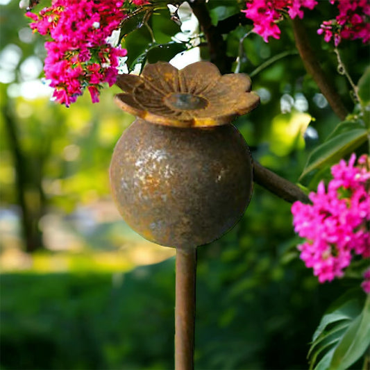 Heatwave Garden Tips: Simple Ways to Help Your Garden Thrive This Summer