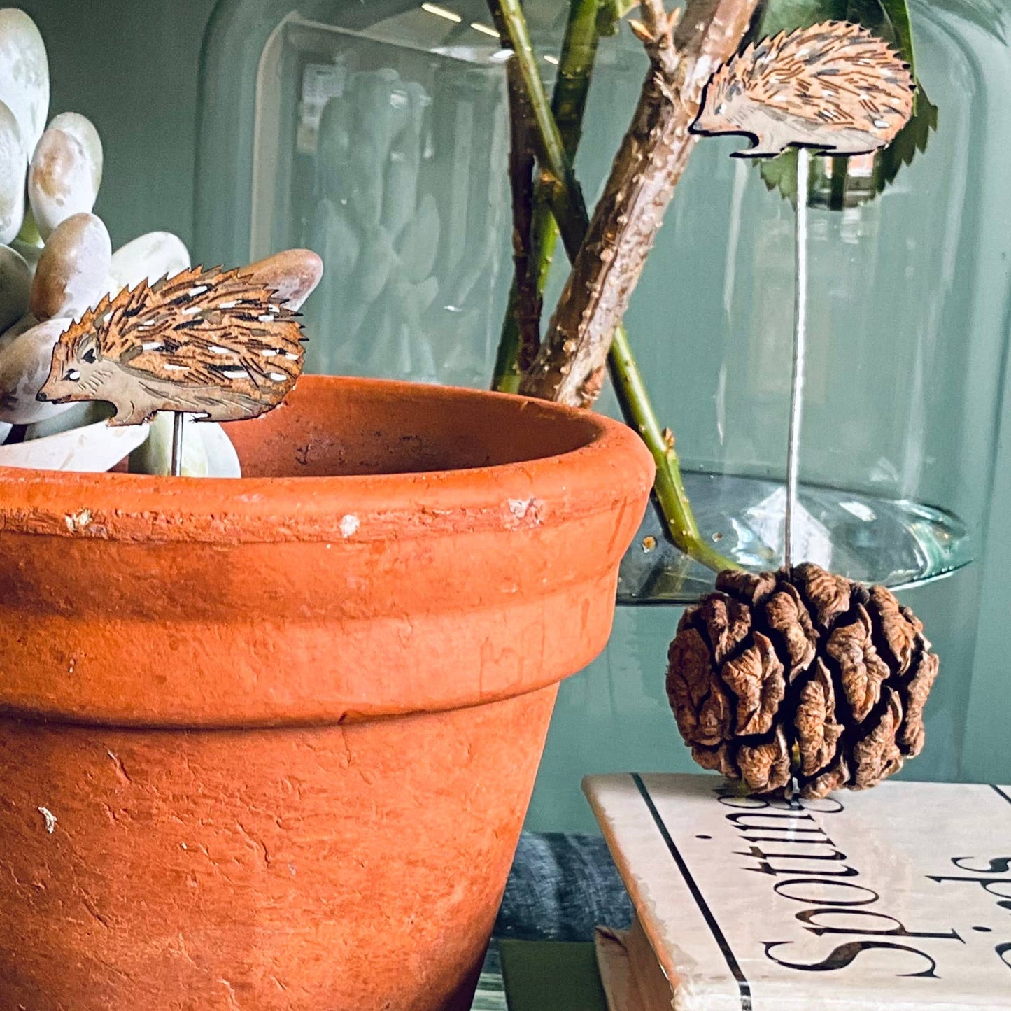 A Hedgehog Plant Pot Companions available to buy from Fig and Rose Home.