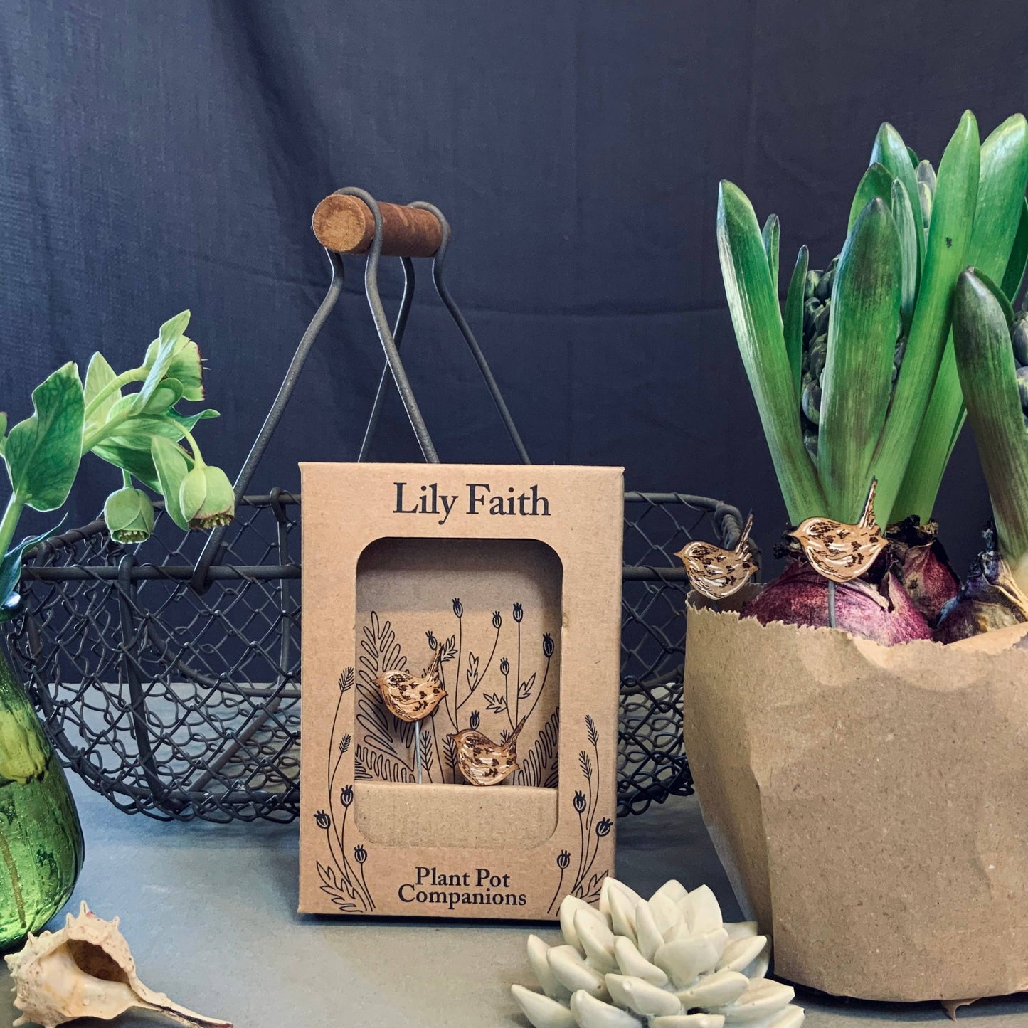 A Wren Plant Pot Companions available to buy from Fig and Rose Home.