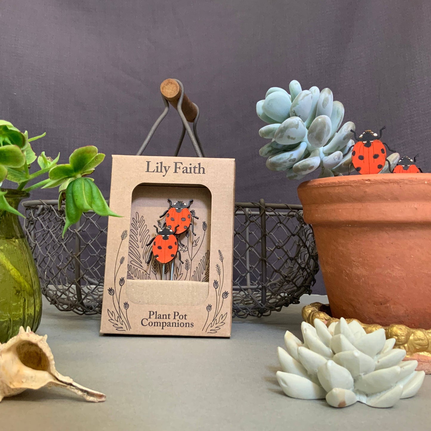 A Ladybird Plant Pot Companions available to buy from Fig and Rose Home.