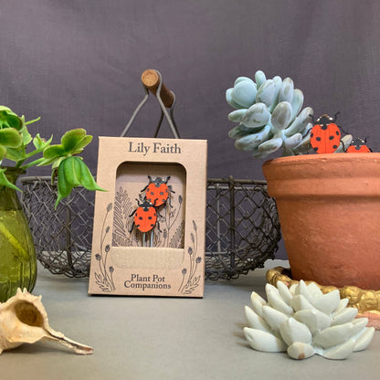 A Ladybird Plant Pot Companions available to buy from Fig and Rose Home.