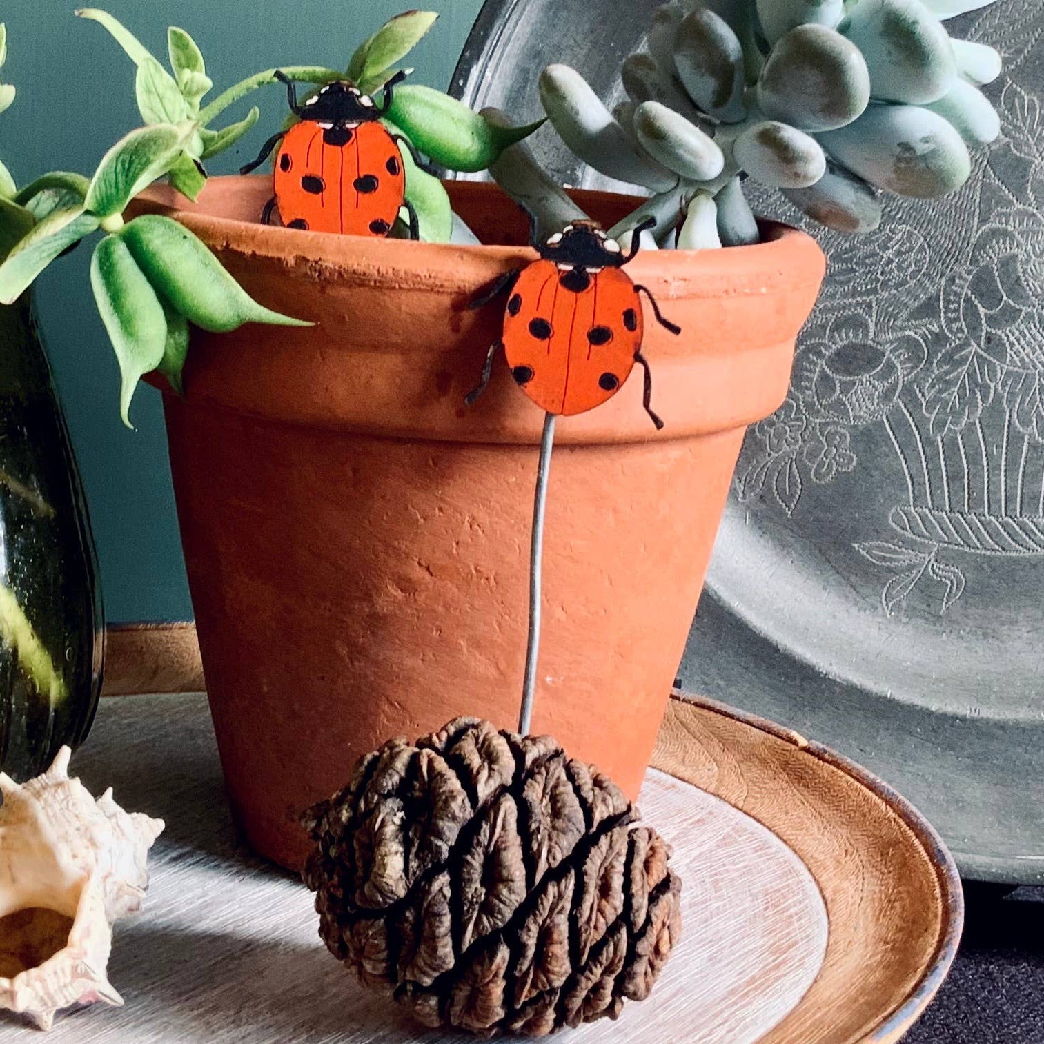 A Ladybird Plant Pot Companions available to buy from Fig and Rose Home.