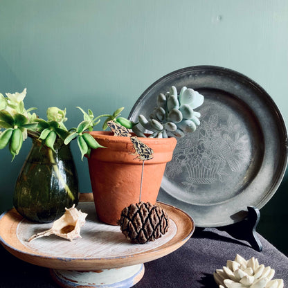 A Frog Plant Pot Companions available to buy from Fig and Rose Home.