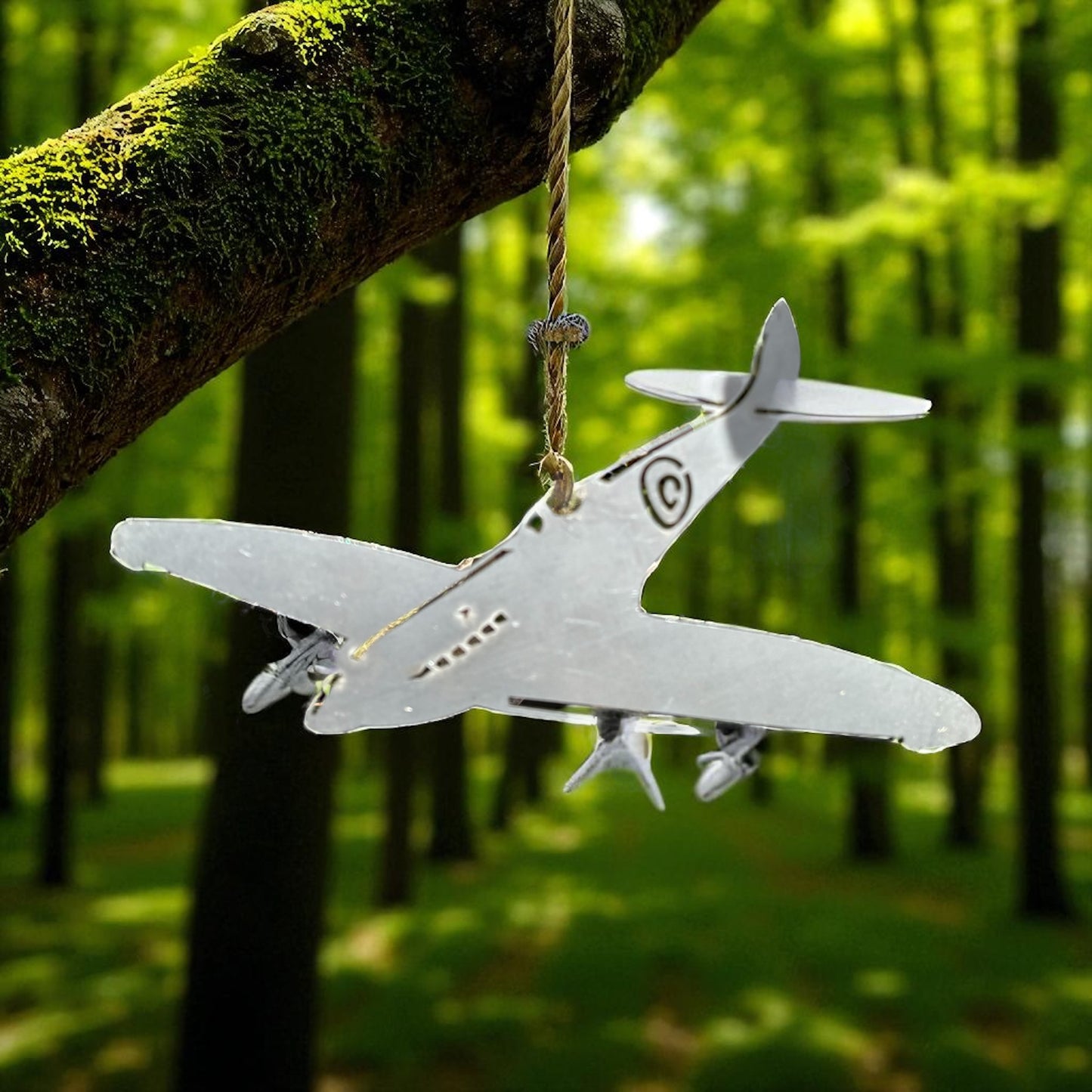 Garden Spitfire Art