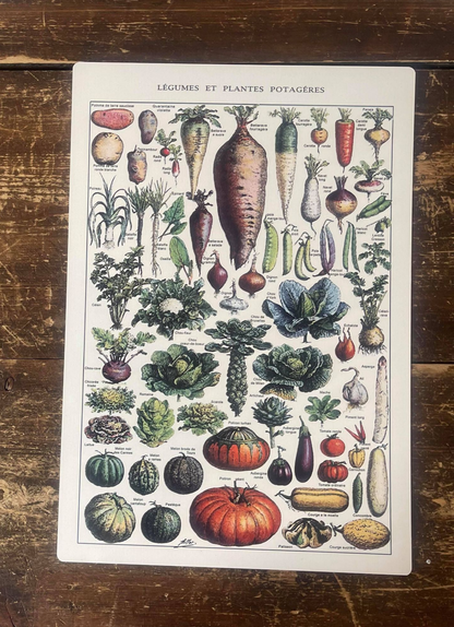 A Vintage Kitchen Vegetables Metal Sign available to buy from Fig and Rose Home.