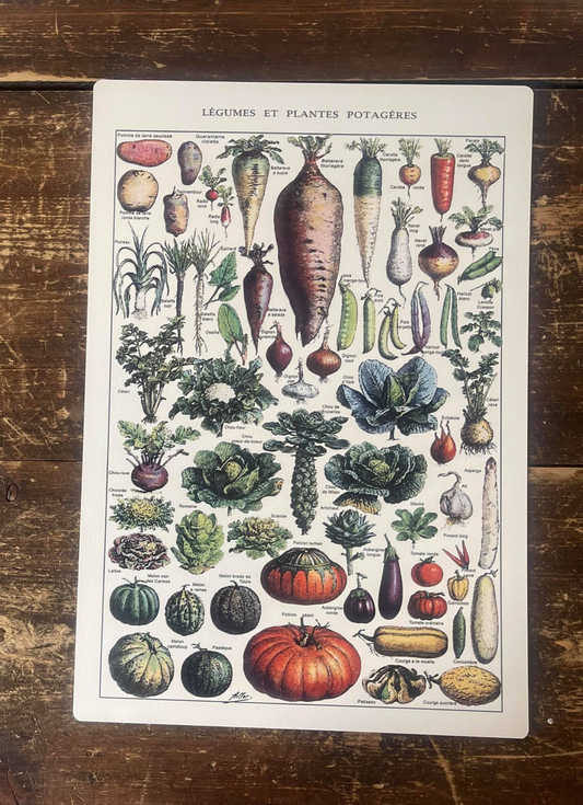 A Vintage Kitchen Vegetables Metal Sign available to buy from Fig and Rose Home.